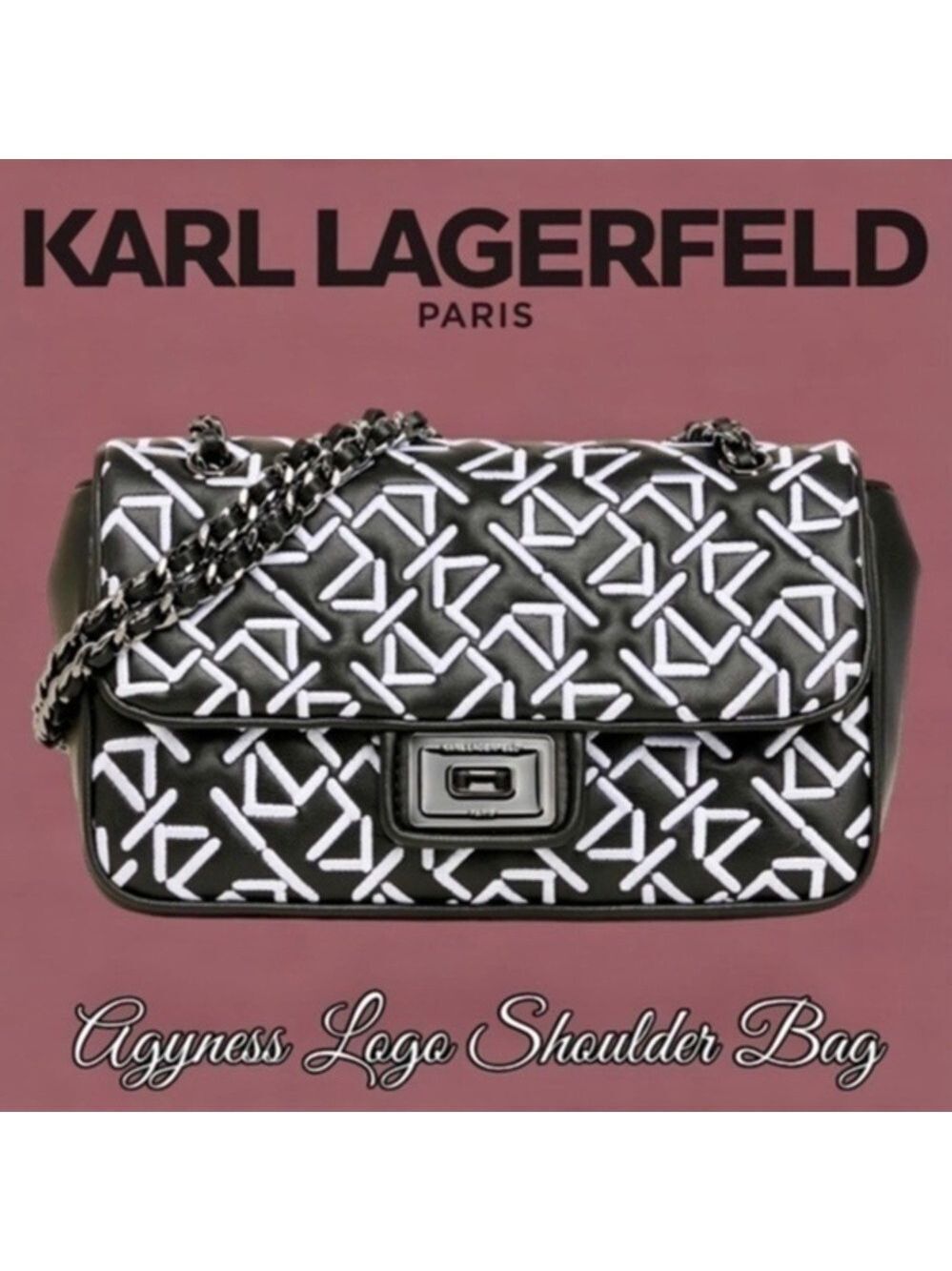 KARL LAGERFELD PARIS Logo Agyness Leather Bag Braided Chain Strap NWT